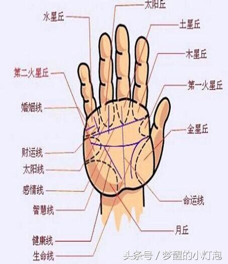 掌心有方格紋|史上最罕見的手相掌紋圖解大全